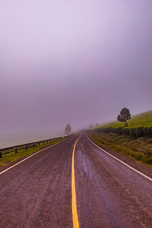Foggy road in the countryside of New South Wales, Australia