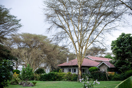 Old house in the garden with trees and grass on the ground.の写真素材