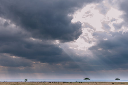 Sunset in Serengeti National Park, Tanzania, Africaの写真素材