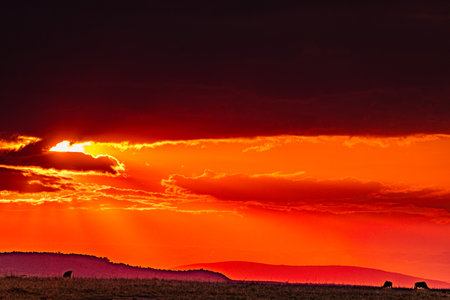 Sunset in the prairie of Colorado in the United States.の写真素材