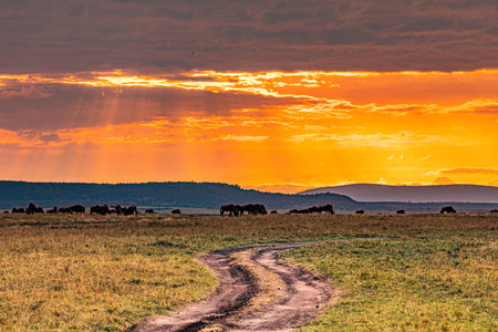 Sunset in the Okavango Delta, Botswana, Africa