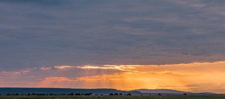 Sunset over the prairie in Yellowstone National Park, Wyoming.の写真素材