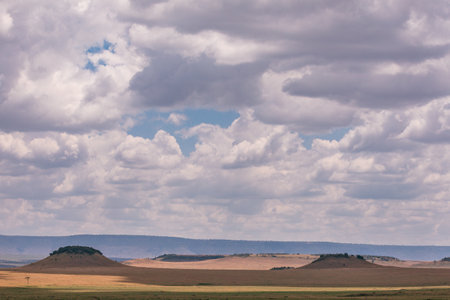 Landscape of the steppe under the blue sky with clouds.