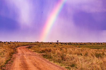 Rainbow over the road in Okavango Delta, Botswana
