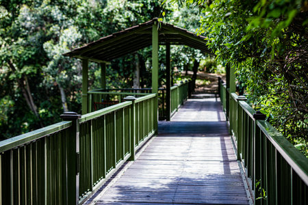 Wooden walkway in the park with natural background, Thailand.の写真素材