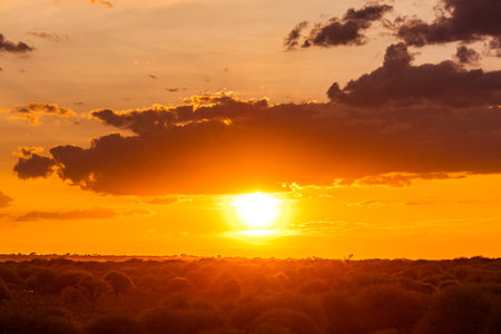 Sunset over the Okavango Delta, Botswana, Africaの写真素材