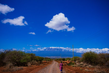 Mt Kilimanjaro in Tanzania, Africa, Africa, Africa