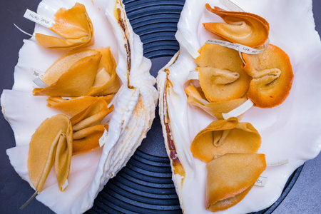 Close-up of a seashells on a black background.