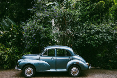 Vintage car in the garden. Retro car in the garden.の写真素材