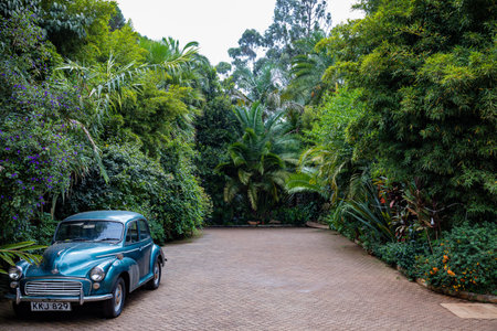 An old car parked in the garden.の写真素材