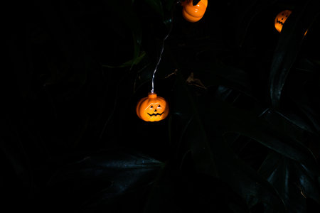 Halloween pumpkins on dark background. Halloween concept. Selective focus.の写真素材