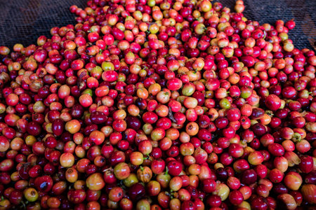 Coffee beans on sale at the local market in India.