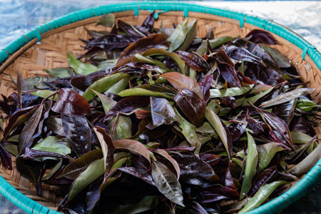 Dry tea leaves in a basket on a market in Thailand.の写真素材
