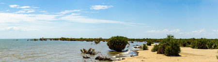 Lake Turkana is the world's largest permanent desert lake and the largest alkaline water body, located in the East African Rift Valley and shared by Kenya and Ethiopia. It's characterized by its harsh, arid surroundings, high salinity, and unique ecosystem. The lake is fed primarily by the Omo River, which originates in the Ethiopian highlands, and its water level fluctuates due to rainfall and evaporation.の写真素材