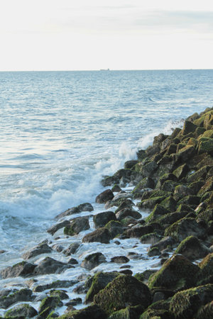 These moss rocks were found at the beach recently, and this photo was taken during golden sunset
