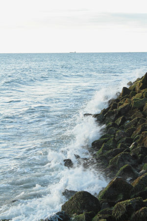 These moss rocks were found at the beach recently, and this photo was taken during golden sunset