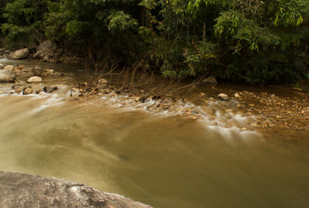 This clean stream is in the western ghats of India. This location was found during a recent visit.の写真素材