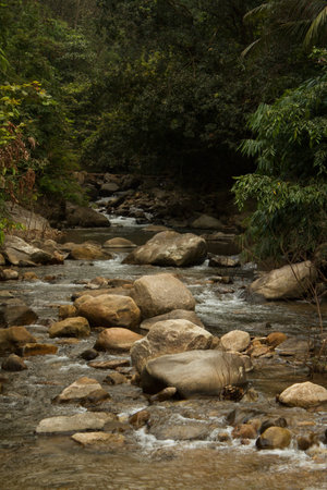 This clean stream is in the western ghats of India. This location was found during a recent visit...