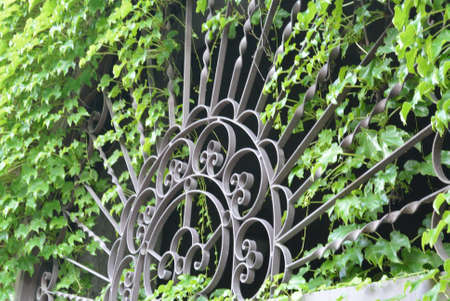 beautiful gates at old houseの写真素材