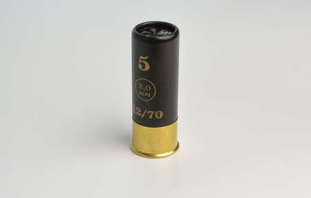 one cartridge with rifle for hunting gunの写真素材