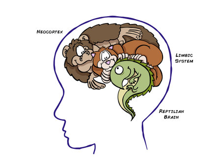 レプティリアンの写真 イラスト素材一覧 26 261件 ストックフォトのamanaimages Plus