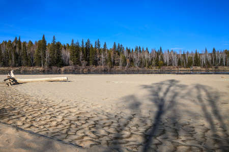 Landscape with tree shadows on textured sand in sunny dayの写真素材