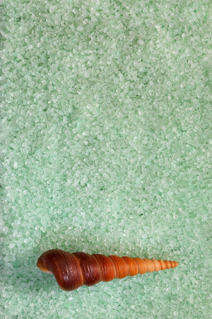 Background with mint green sea salt and seashell, vertical, closeup