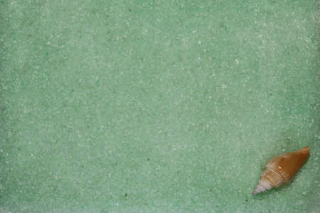 Background with mint green sea salt and seashellの写真素材