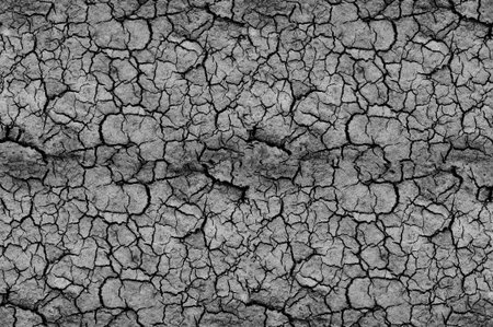abstract background. cracked, grey surface