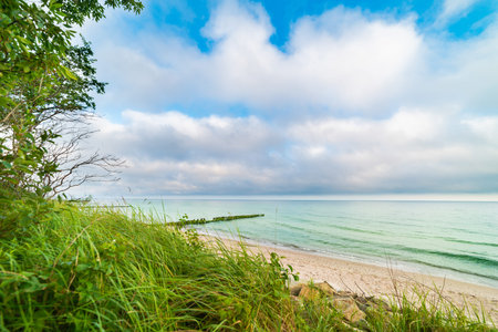landscape by the sea, plants, stones and sand