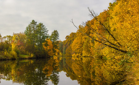 Colorful autumn forest reflected in the river の写真素材