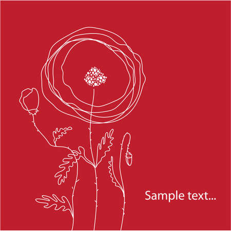 template congratulations - Poppies on red backgroundのイラスト素材
