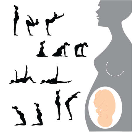 gymnastics for pregnant women - a set of exercisesのイラスト素材
