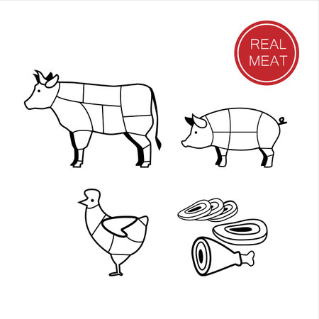 meat - a template for the sign, logo or icon, or a grocery store meat, the designation of meat products.のイラスト素材