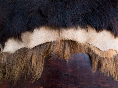 Close up of black,white and brown skinned goat fur on a wooden background