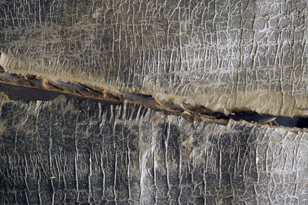 Part of cracked  peeled  dirty  ragged wallClose up of grunge, aged, weathered,  vintage...