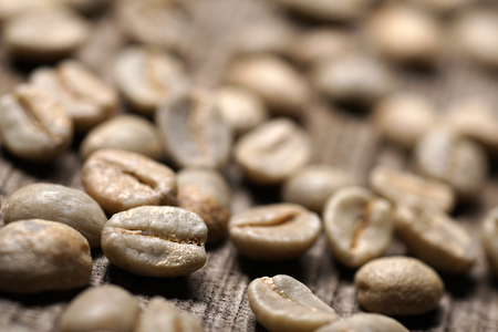 Raw orÂ unroasted or green organic coffee beans on wooden background.
Space for copy text.
Shallow depth of field, selective focus. 
Macro.の写真素材