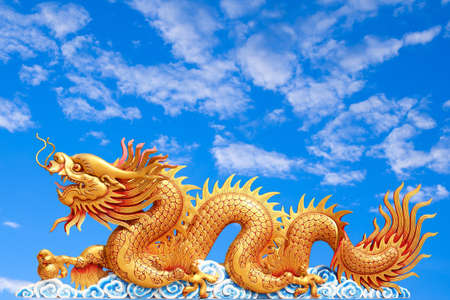 dragon with cloudy sky backgroundの写真素材