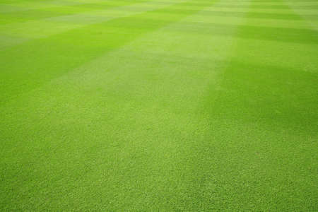 Floor grassの写真素材