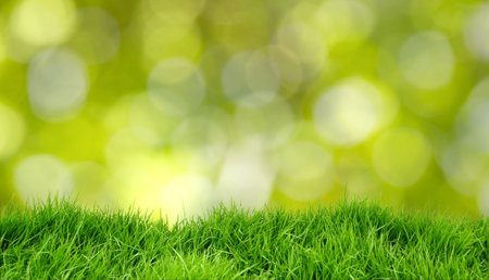 Grass on white background