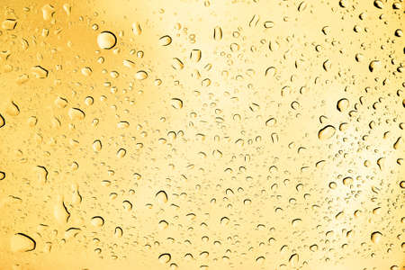 water dropsの写真素材