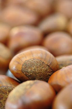 chestnutの写真素材