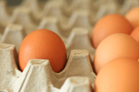 Eggs