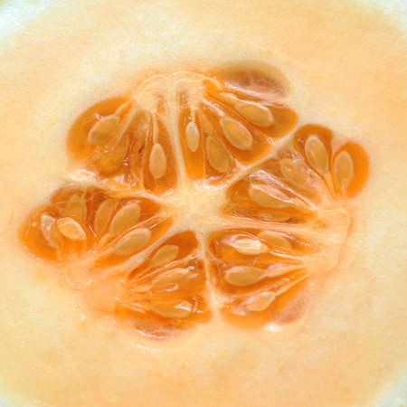 Cut Cantaloupeの写真素材