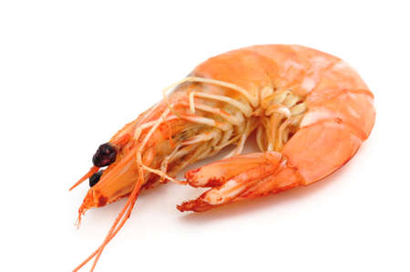 prawns, shrimpsの写真素材