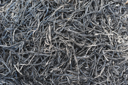 Burnt Straw