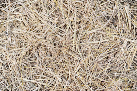 Straw backgroundの写真素材