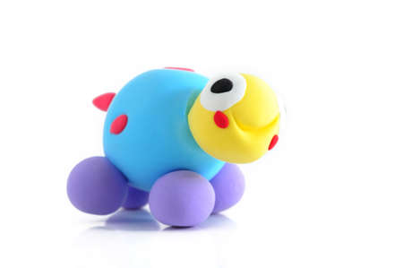 Turtle smiledの写真素材