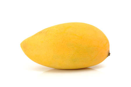 mangoの写真素材