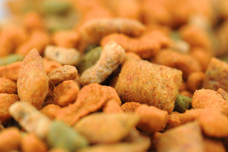 Dog food